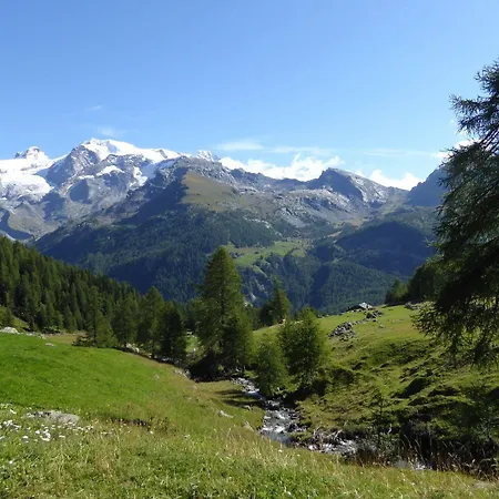 Apart-hotel Family Le 3*