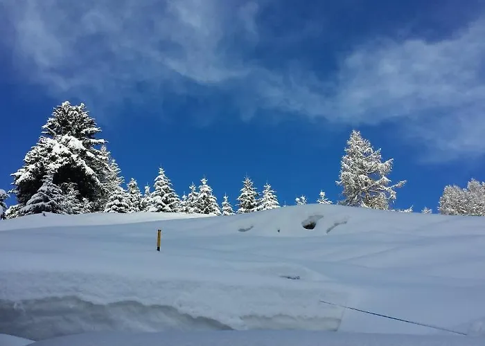 Family Le 3* Champoluc